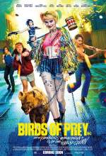 Birds of Prey 2020 Dual Audio Hindi 480p BluRay 300MB FilmyMeet