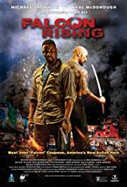 Falcon Rising 2014 Dual Audio Hindi 480p 300MB FilmyMeet