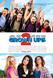 Grown Ups 2 2013 Hindi Dubbed 480p FilmyMeet