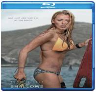 The Shallows 2016 Dual Audio 480p 300MB FilmyMeet